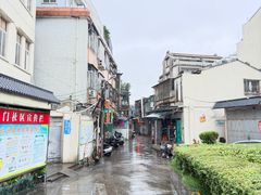 -凉凉海石花