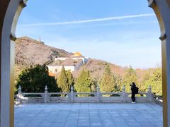 -龙口南山旅游景区