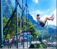 -梦幻奥陶纪景区