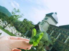 -青峰峡国家森林公园