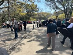 -普陀山慧济禅寺