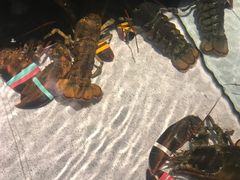-RED LOBSTER(中城西店)