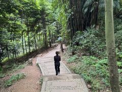 -凤栖山