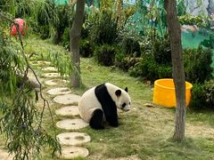 -西霞口神雕山野生动物世界