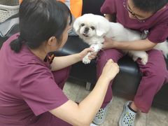 -美联众合动物医院·24h转诊中心