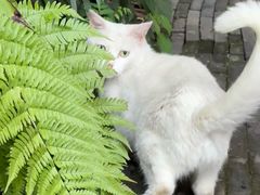 -一枚西点(运河路店)