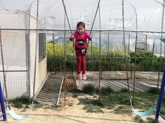 -小鱼草莓采摘园农家乐·小鱼餐厅
