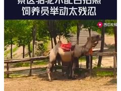 -古柏渡飞黄旅游区