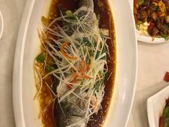 -喜乐餐厅•灯笼虾球首创者•本地小海鲜(二马路店)