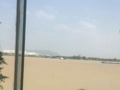 -八仔大富楼·河鲜(西江店)