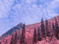 -万峰林风景区