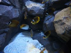 -成都浩海立方海洋公园