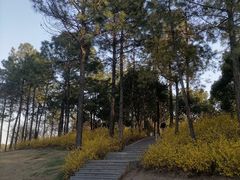 -美兰湖景区
