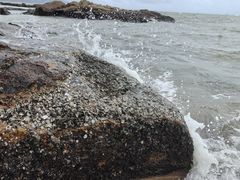 -碧桂园十里银滩