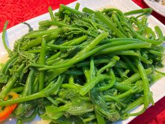 佛手瓜苗-粤北餐馆
