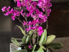 -黔蘑菇四季餐厅(观山湖店)