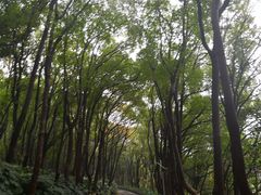 -上海市保健医疗中心(华东疗养院)
