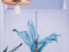 -如禾素食·下午茶·糖水