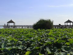 -敕勒川草原文化旅游区