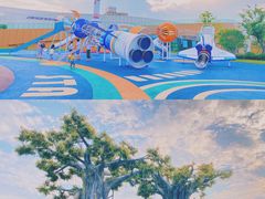 -九龙湖公园