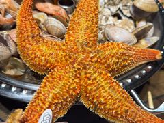 -威海九禧海鲜居渔水饺(经区店)