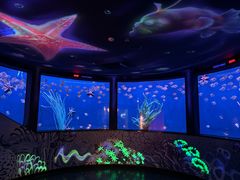 -沈阳海洋探索中心