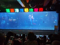 -蓬莱欧乐堡海洋极地世界