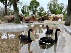 -珠海海泉湾神秘岛亲子乐园