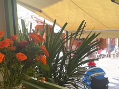 -大青树咖啡(大理古城店)