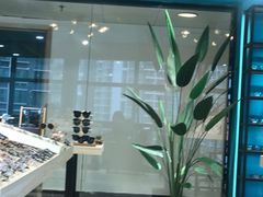 -Trend1881视光·蔡司视觉(领展广场店)