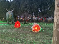 -青龙湖公园