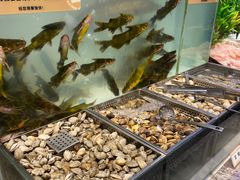 -金滏山烤肉·海鲜·火锅自助餐厅(襄阳万达店)