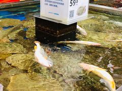 -盒马鲜生(红莲店)