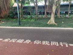 -南宁南湖公园