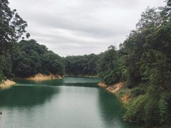 -广州市流溪河国家森林公园