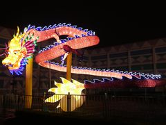 -锦江乐园舞狸花花游园会(夜场专享)