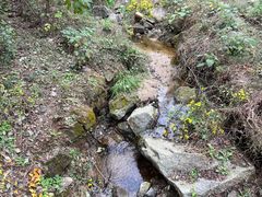 -白水寺森林公园