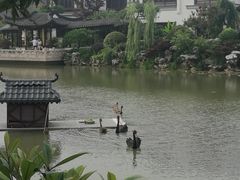 -常州武进九洲喜来登酒店