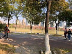 -艾溪湖湿地公园