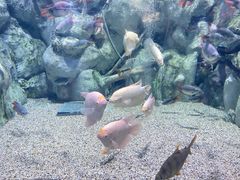 -正佳极地海洋世界