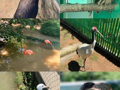 -西霞口神雕山野生动物世界