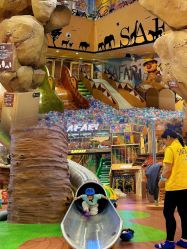 -卡通尼·Safari非洲探索乐园·生日会(金桥国际商业广场店)