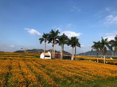 -光明小镇欢乐田园