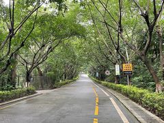 -东莞市大岭山森林公园