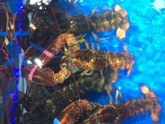 -盒马X会员店(王府井奥莱UP TOWN店)