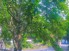 -日出青木·杭帮菜名店