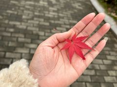 -石湖景区