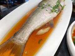 清蒸太湖野生大白鱼-梅飞酒家(桑园路店)