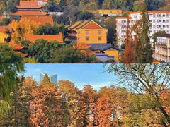 -宝通禅寺