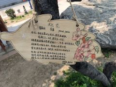 -北京市海淀区尚丽外国语学校